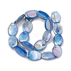 AB Color Freshwater Shell Bead Strands SHEL-T009-04A-2
