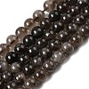 Natural Smoky Quartz Beads Strands G-B167-A09-12mm-3