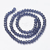 Glass Beads Strands EGLA-A034-T10mm-D12-2