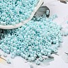 Baking Paint Glass Seed Beads SEED-S042-05A-35-1