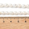 Natural Cultured Freshwater Pearl Beads Strands PEAR-C004-03-5