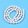 Natural Cultured Freshwater Pearl Beads Strands PEAR-N012-04S-3