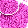 Baking Paint Glass Seed Beads X1-SEED-K010-A11-1