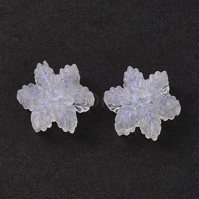 Transparent Acrylic Beads OACR-P007-30-1