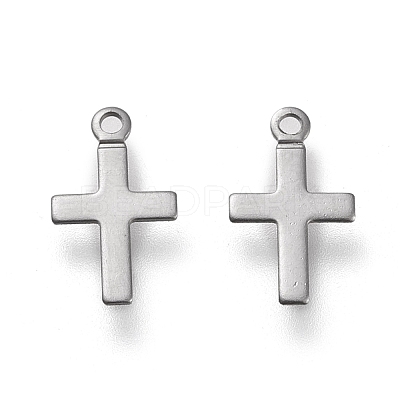 Non-Tarnish 304 Stainless Steel Charms LS-STAS-K195-15P-1