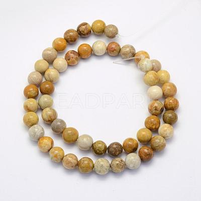 Natural Fossil Coral Beads Strands G-G697-F01-8mm-1