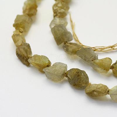 Natural Labradorite Beads Strands G-K202-11C-1