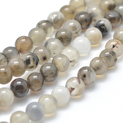 Natural Dendritic Agate Beads Strands X-G-D845-04-8mm-1