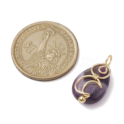 Natural Amethyst Copper Wire Wrapped Pendants PALLOY-JF02598-02-1