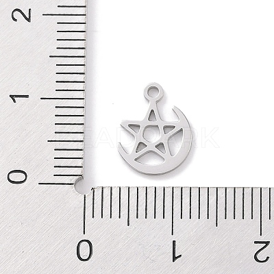 Non-Tarnish 304 Stainless Steel Charms STAS-K286-01F-P-1