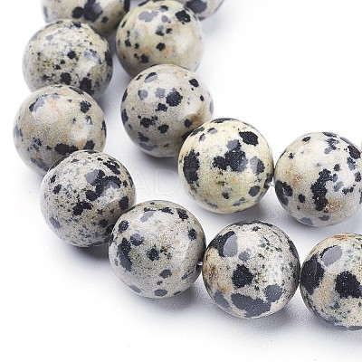 Natural Dalmatian Jasper Beads Strands X-GSR12mmC004-1