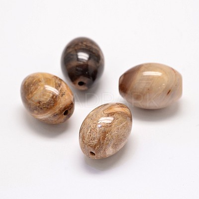 Natural Petrified Wood Beads G-P076-34B-1