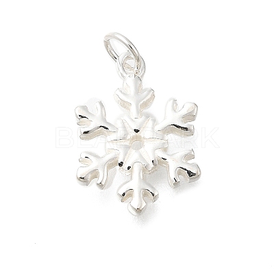 925 Sterling Silver Pendants STER-Q003-01F-S-1