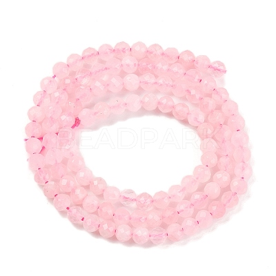 Natural Rose Quartz Beads Strands G-F770-C06-04-1