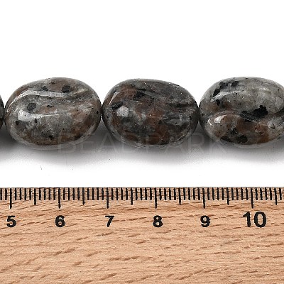 Natural Fluorescent Syenite Rock(Glow under UV Light)  Beads Strands G-K362-D02-03-1