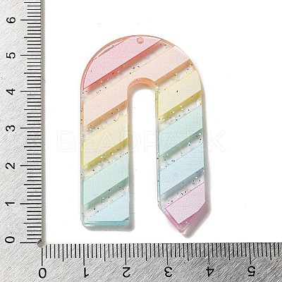Acrylic Pendants OACR-H113-01H-1