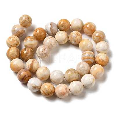 Natural Crazy Lace Agate Beads Strands G-H298-A12-05-1