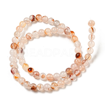 Natural Red Dendritic Agate Beads Strands G-A232-A02-02-1