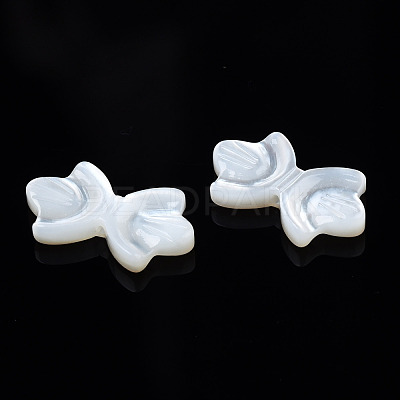 Natural White Shell Beads SSHEL-S258-105A-1