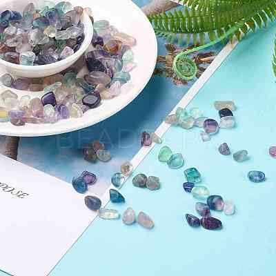 Natural Fluorite Beads LS-X-G-F710-11-1