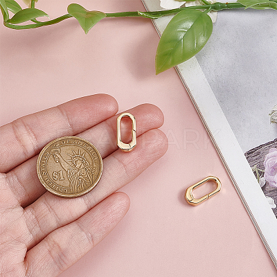 2Pcs Brass Spring Gate Rings KK-BBC0024-20G-01-1