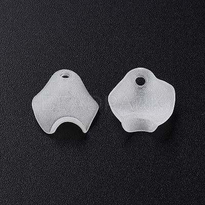 Transparent Acrylic Beads X-MACR-S373-106-D07-1