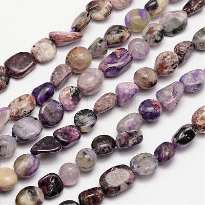 Natural Charoite Bead Strands G-L459-02-1