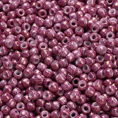 TOHO 6/0 Round Beads SEED-XTR06-1202-1
