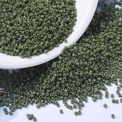 MIYUKI Delica Beads SEED-J020-DB1135-1