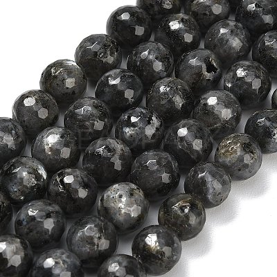 Natural Larvikite Beads Strands G-C280-B06-12mm-1