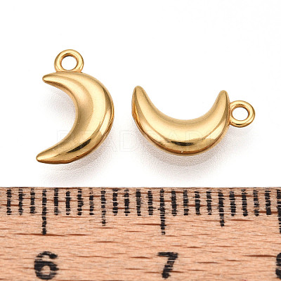 304 Stainless Steel Charms STAS-N109-138G-1
