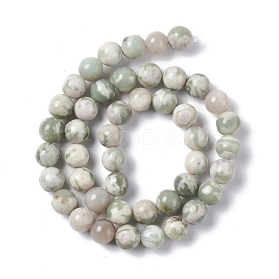 Natural Peace Jade Beads Strands G-G905-07-6MM-1