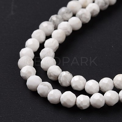 Natural Howlite Beads Strands G-H273-02A-1