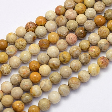 Natural Fossil Coral Beads Strands G-G697-F01-4mm-1