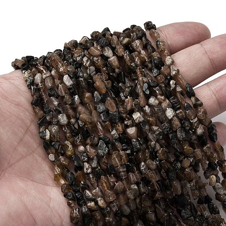 Natural Chiastolite Beads Strands G-I389-A26-1