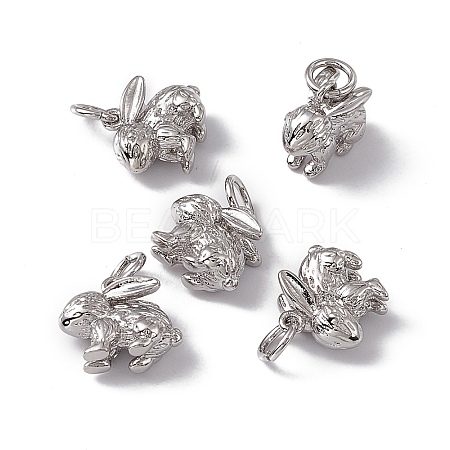 Rack Plating Brass Charms KK-C007-17P-1