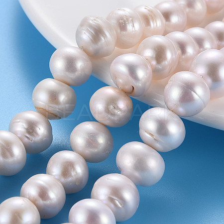 Natural Keshi Pearl Beads Strands PEAR-S020-L05-1