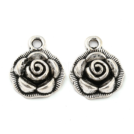 Alloy Pendants X-FIND-G065-14AS-1