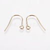 304 Stainless Steel Earring Hooks STAS-F142-01G-2