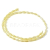 Natural Freshwater Shell Beads Strands SHEL-C010-01B-3
