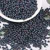 MIYUKI Round Rocailles Beads X-SEED-G008-RR2009-1