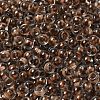 Transparent Glass Round Seed Beads X1-SEED-B001-05A-20-3