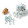 4Pcs Glass Wishing Bottle Decorations PALLOY-JF03100-4