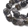 Natural Iolite Beads Strands G-C179-F06-01-4