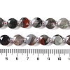 Natural African Bloodstone Beads Strands G-N342-12-5