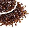 Picasso Spray Painted Glass Seed Beads SEED-T006-04-5-3