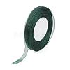 Organza Ribbon RS10mmY-165-1