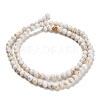 Assembled Synthetic Stone and Trochus Shell Beads Strands G-B128-08A-01-2