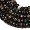 Natural Biotite Beads Strands G-L647-D05-4x6mm-4