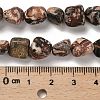 Natural Leopard Skin Jasper Beads Strands G-P497-01E-93-5